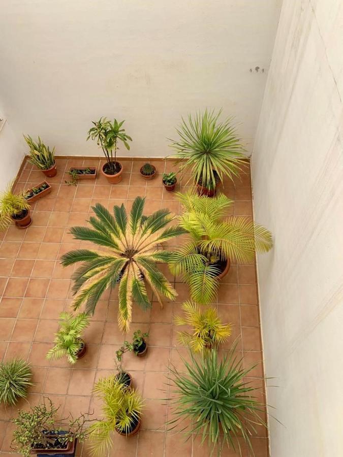 Apartamento En El Centro, Tranquilo Y Luminoso Málaga Buitenkant foto